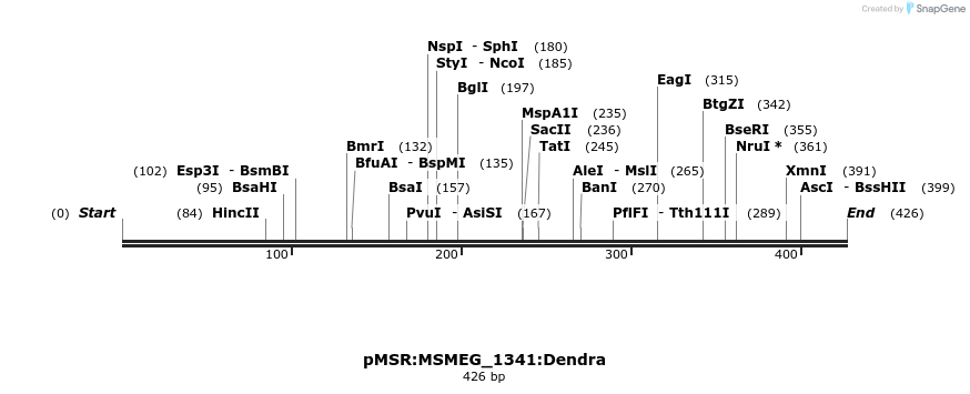 339389_map