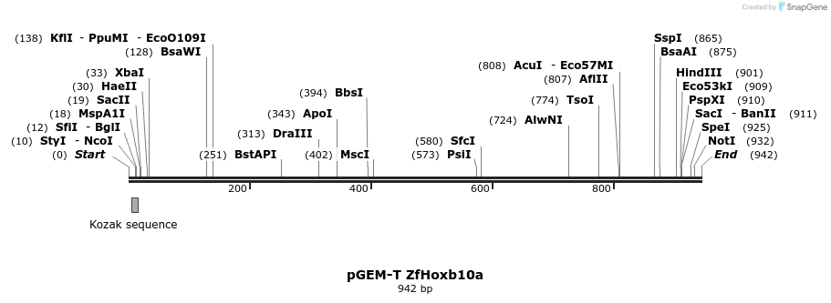 33939_map