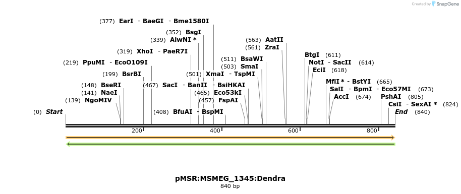 339390_map