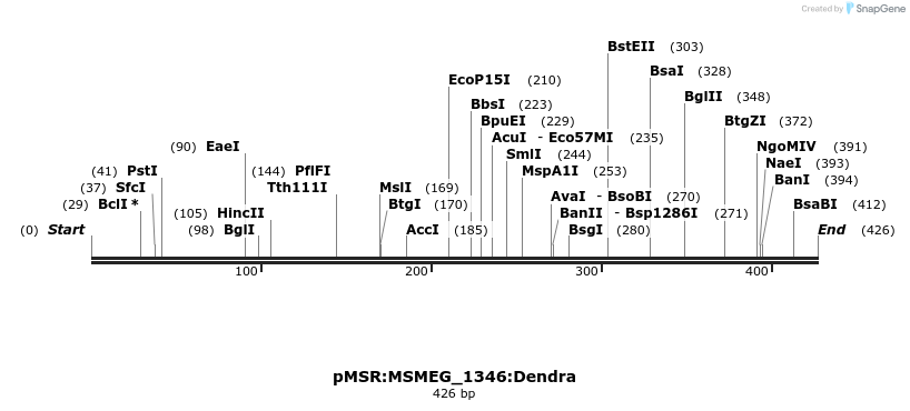 339391_map