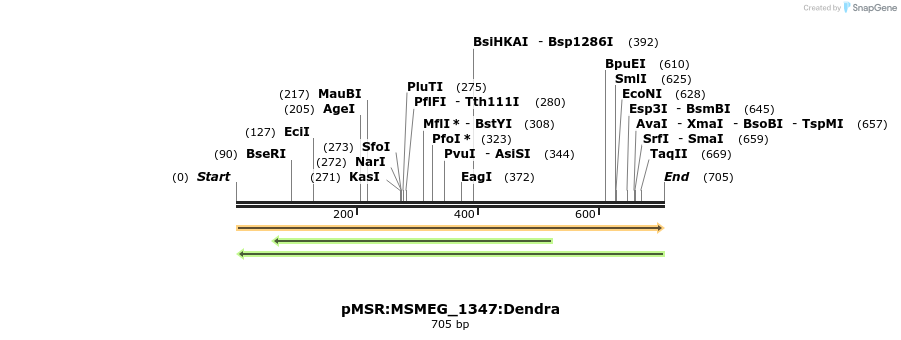 339392_map