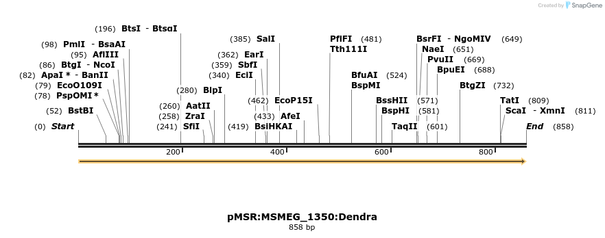 339393_map