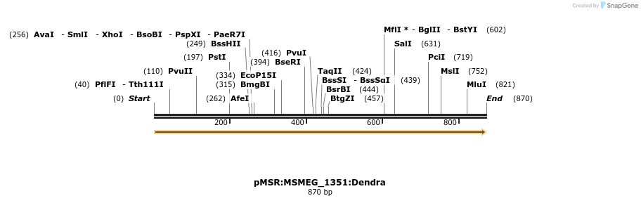 339394_map