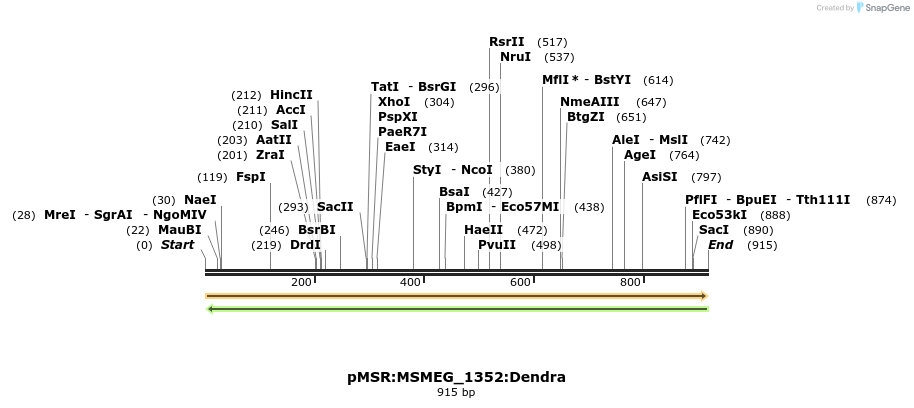 339395_map