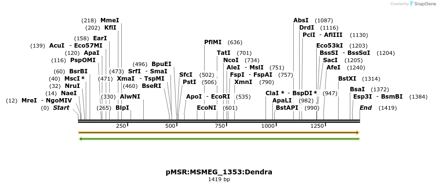 339396_map