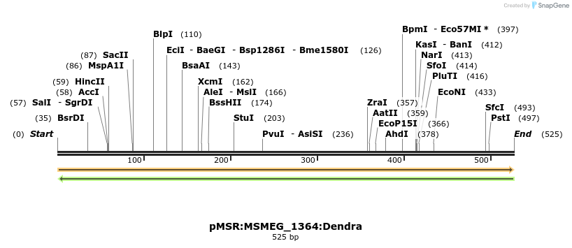 339397_map