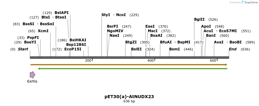 339413_map