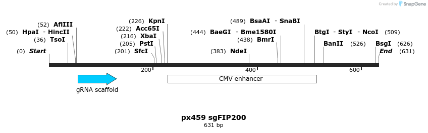 339419_map