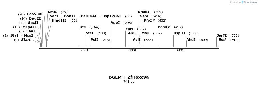 33942_map