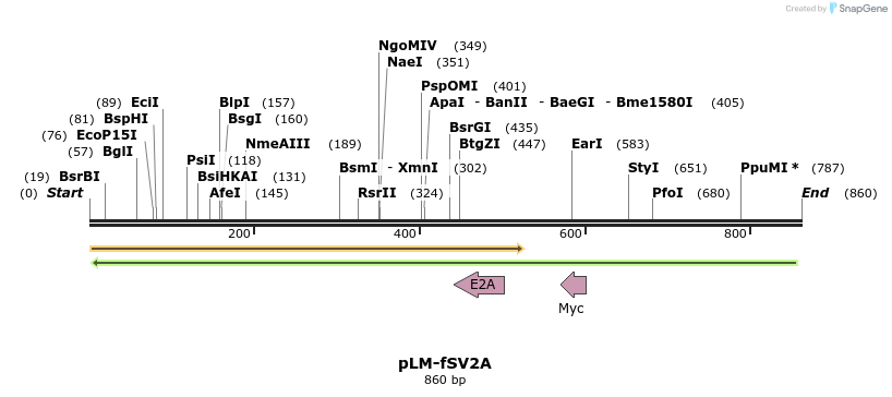 33945_map