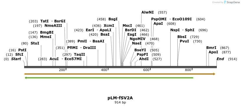 33946_map