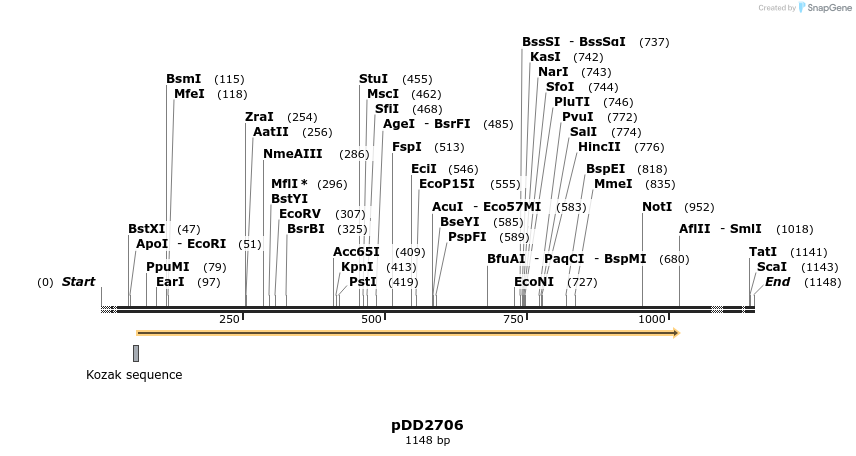 339528_map
