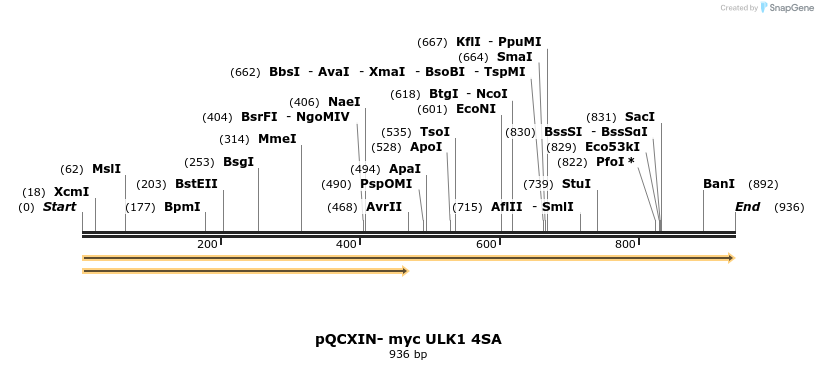33955_map