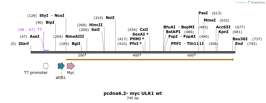 33957_map