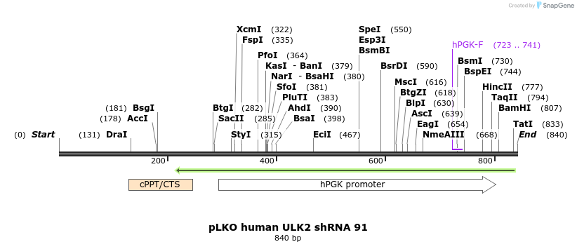 33964_map