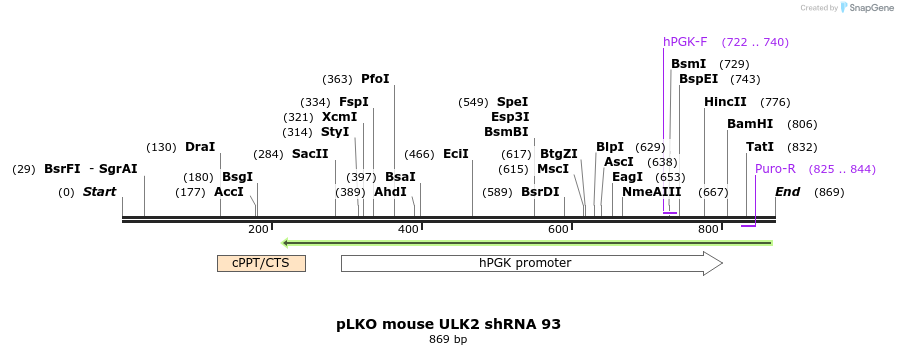 33965_map