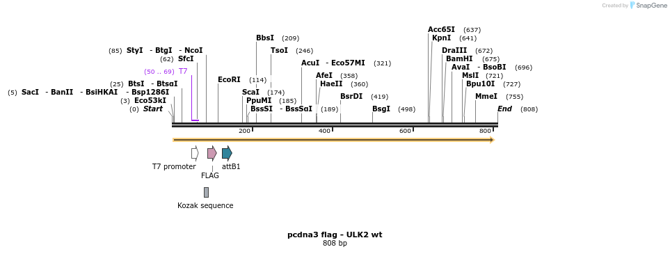 33967_map