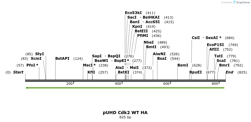 33968_map
