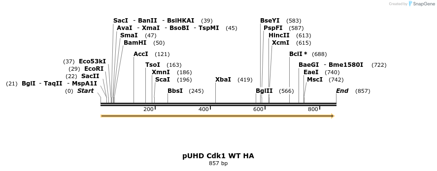 33971_map