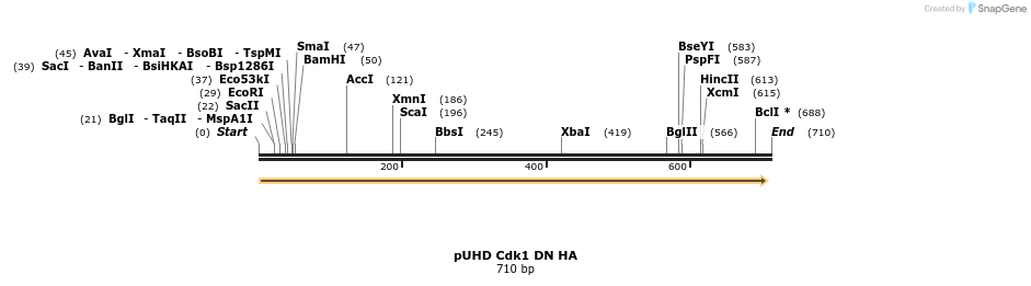 33973_map