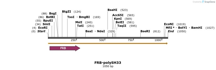 339756_map