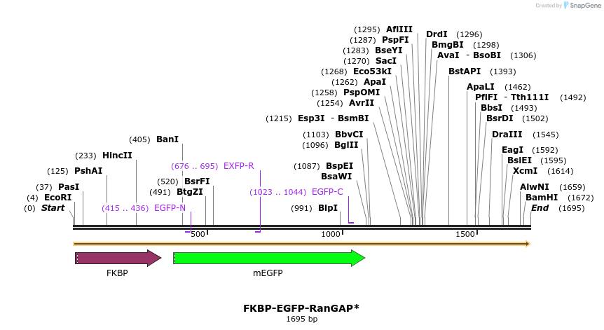 339761_map