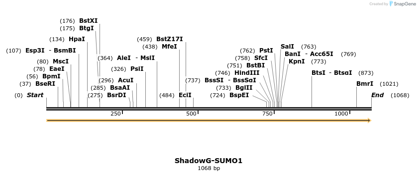 339762_map