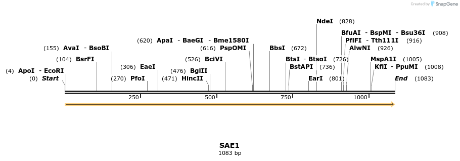 339764_map