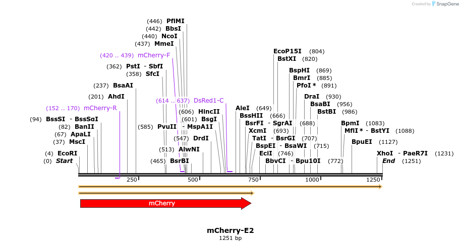 339765_map