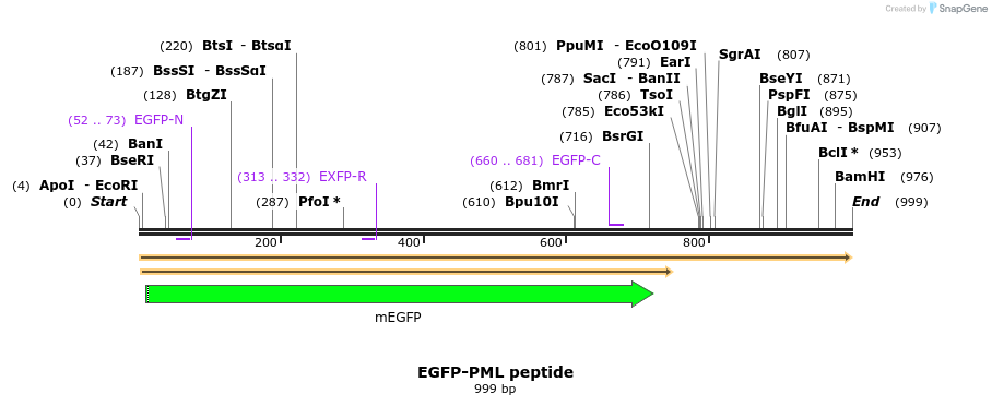 339769_map