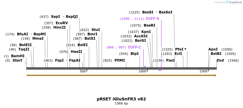 339803_map