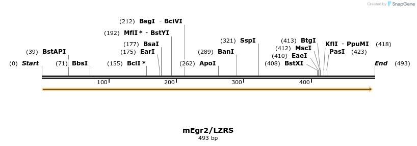 33981_map