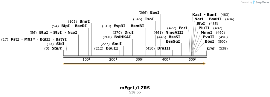 33983_map