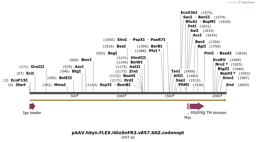 339850_map
