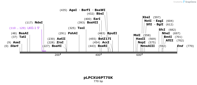 33987_map