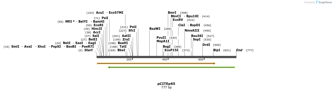 33989_map