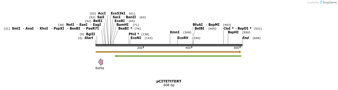 33990_map