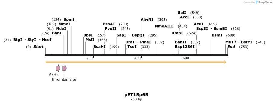 33991_map