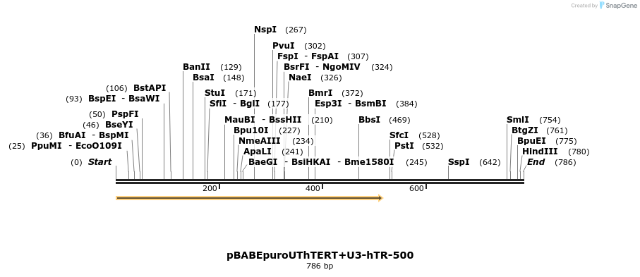33993_map