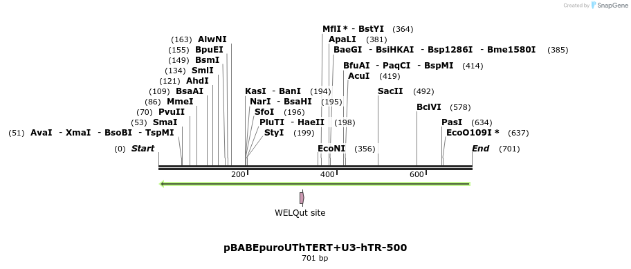 33994_map