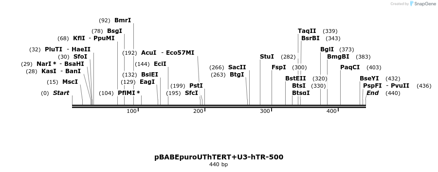 33995_map