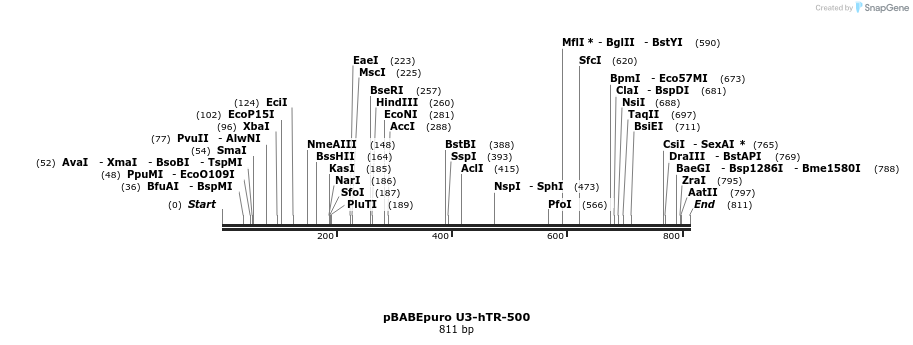 33996_map
