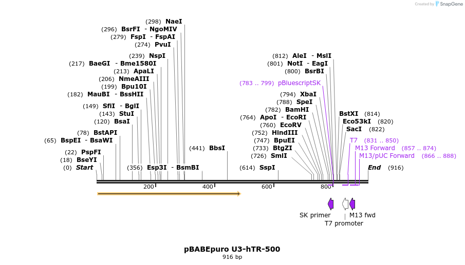 33997_map