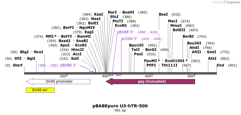 33998_map