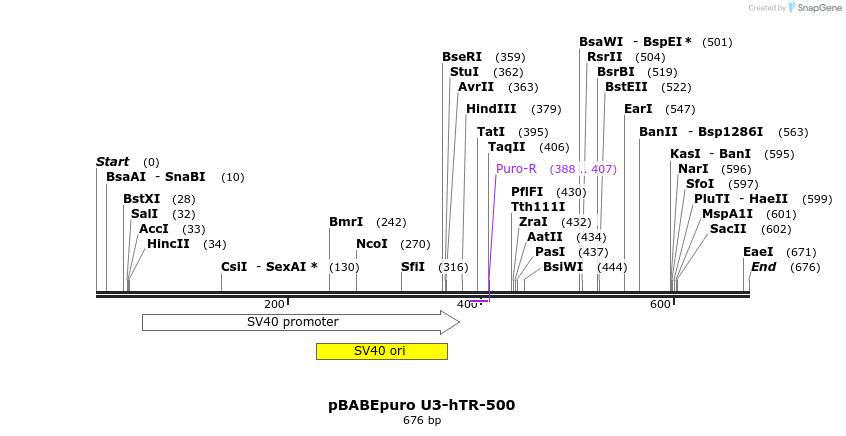 33999_map