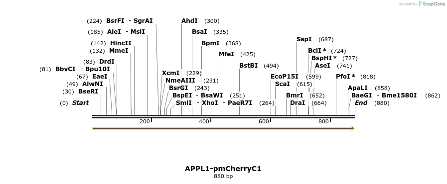 34010_map