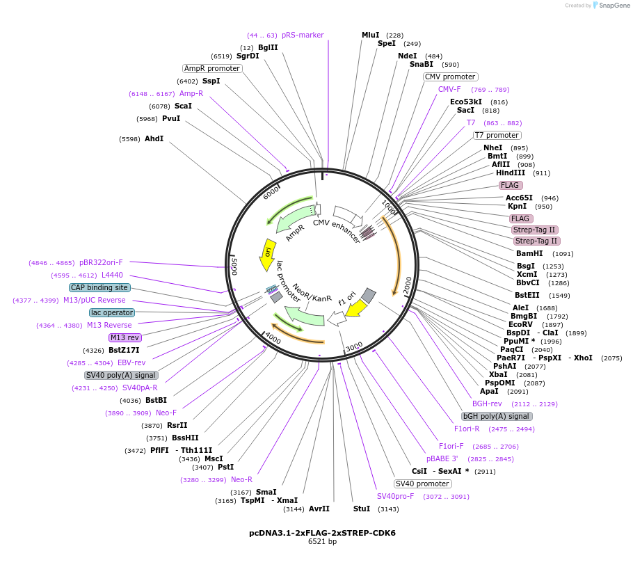 340106_map