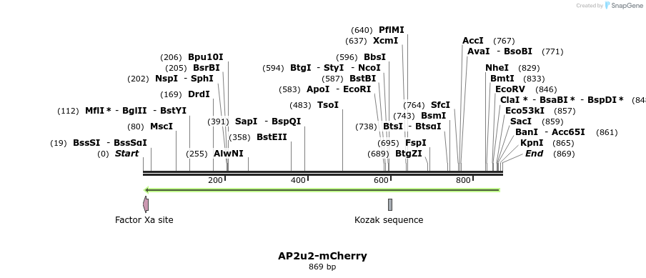 34013_map
