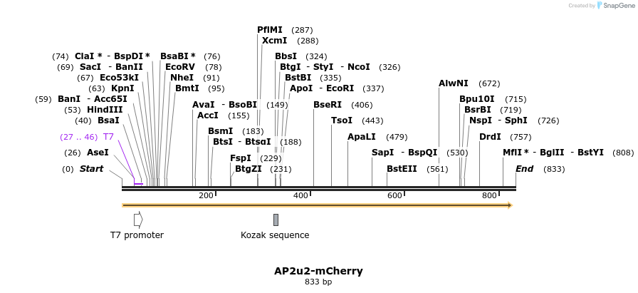 34015_map