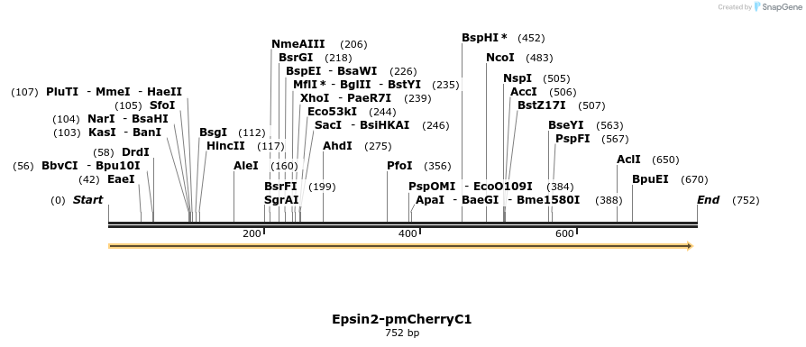 34016_map